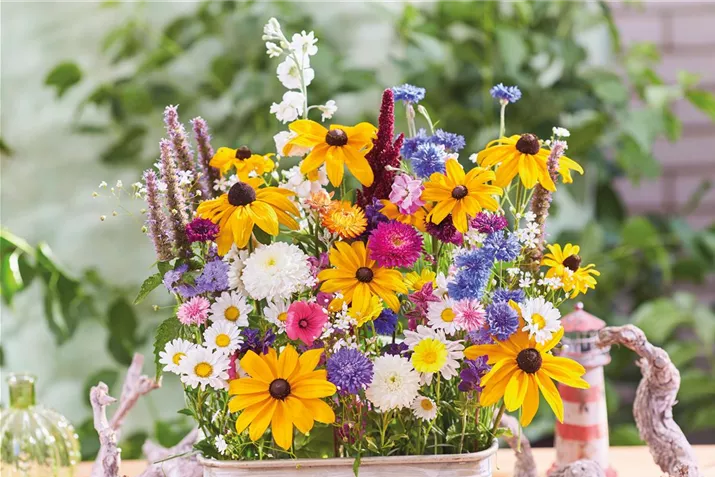 FLO_MIX_Naturbiente_Sommerblumenstrauss_494490_007_Volmary_Laendlichercharme_KATALOG.jpg