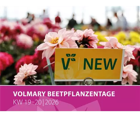 Die Volmary Beetpflanzentage<sup>®</sup> 2026