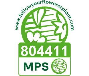 Vignet MPS-ABC EN-804411-RGB.png
