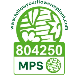 Vignet MPS-ABC EN-804250-RGB (1).png