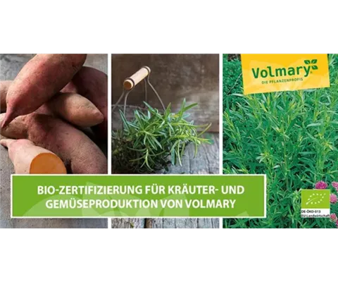 Bio-Zertifizierung für die Kräuter- und Gemüseproduktion von Volmary