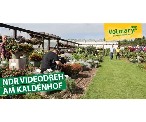 NDR Videodreh auf dem Kaldenhof