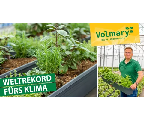 La contribution de Volmary à un meilleur climat